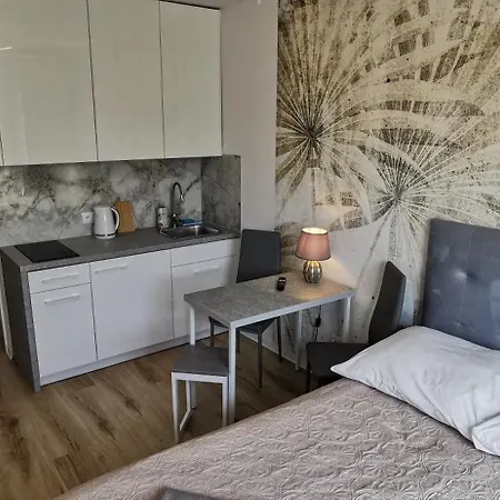 Flou 81, Parking & 700m Plaza * Gdansk